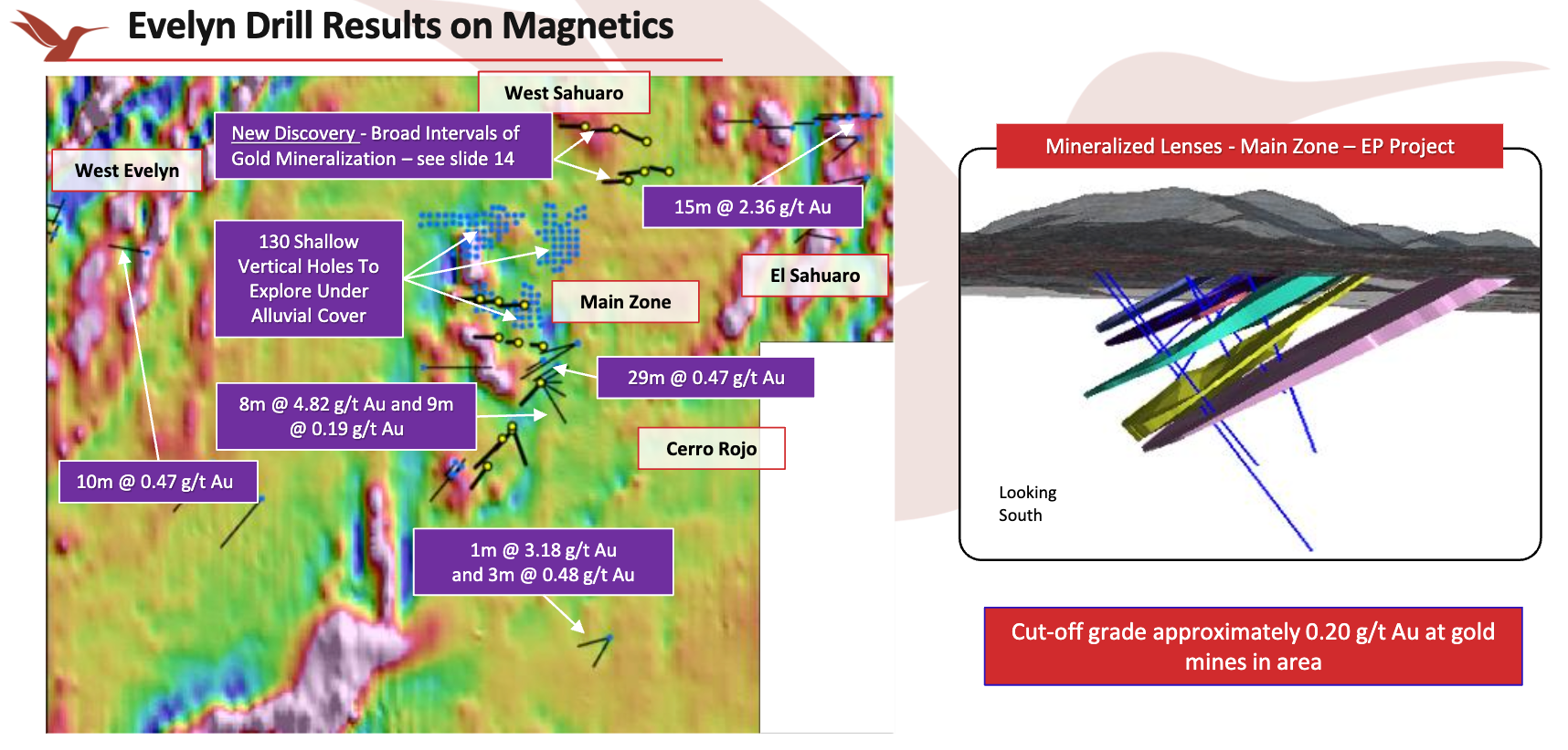 A map showing evelyn drill results on magnetics