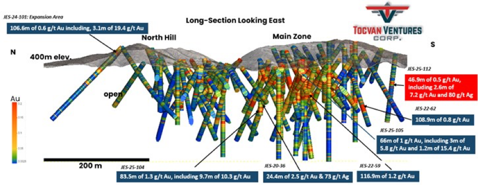 Figure 1. 3D Long Section View on Main Zone Trend looking east.
