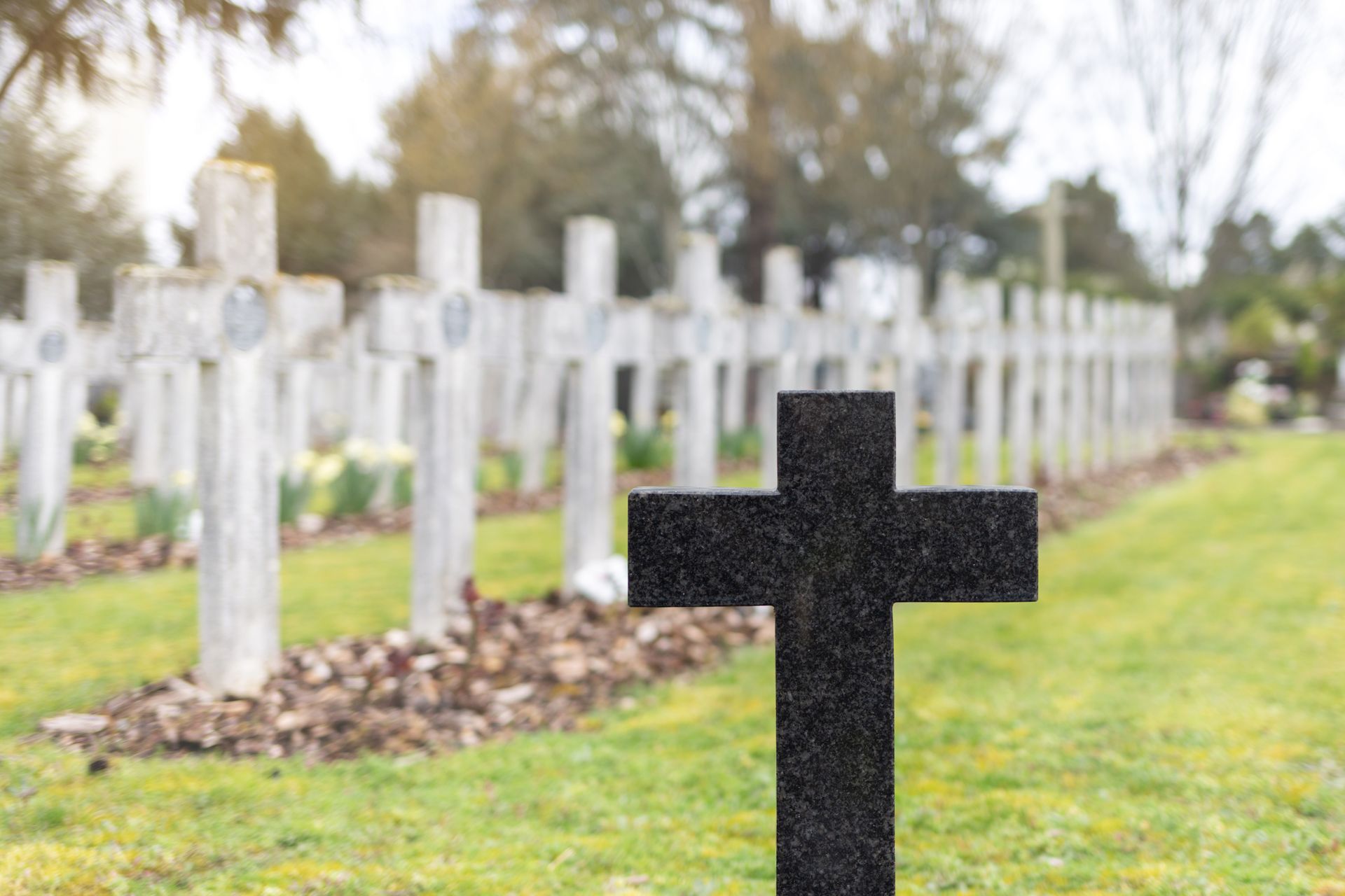 Planty tombstone cross grave maker standing in cemetery, white crosses on background.