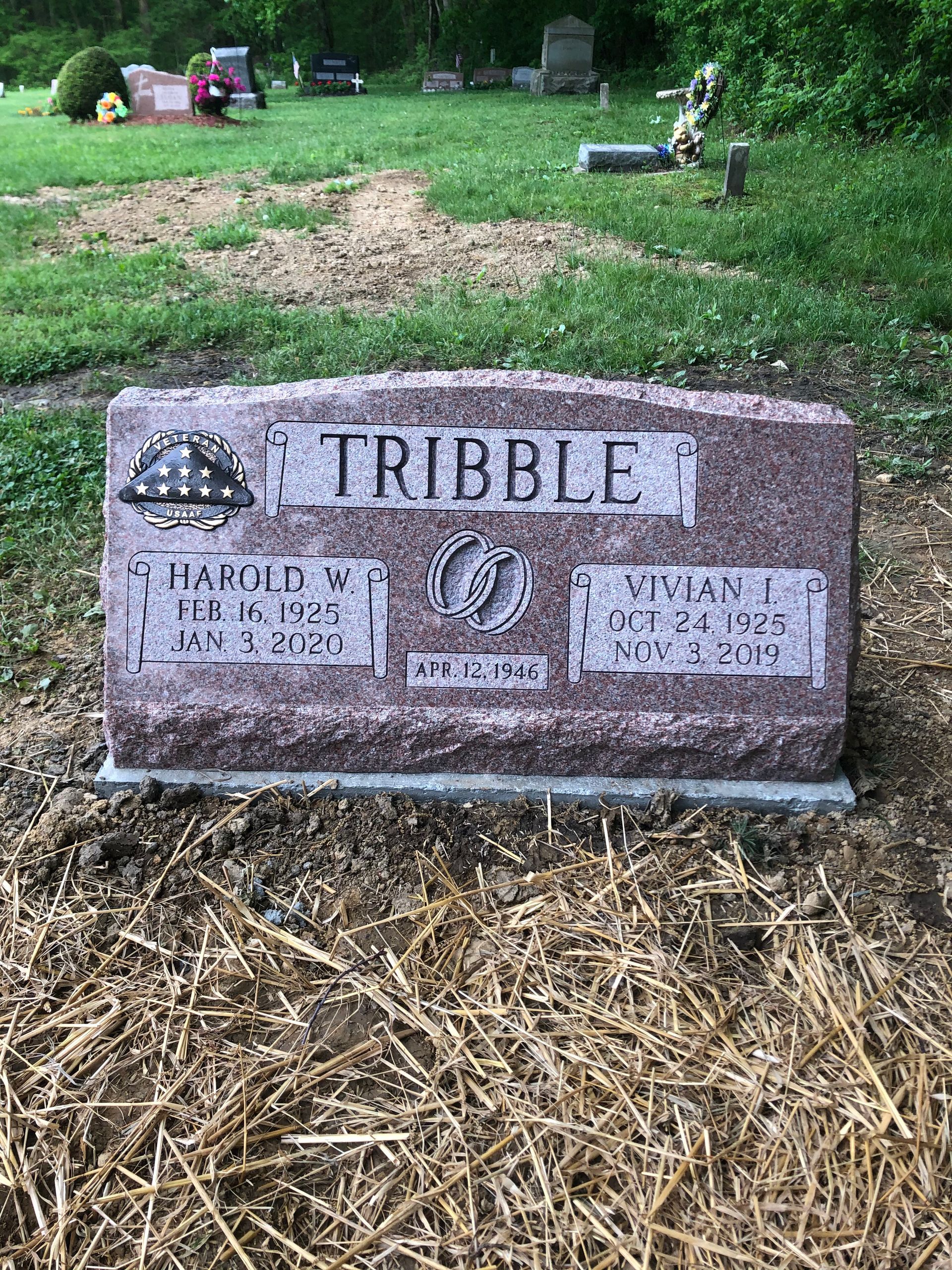 TRIBBLE family gravestone in a grassy cemetery, with flowers and other headstones in the background.