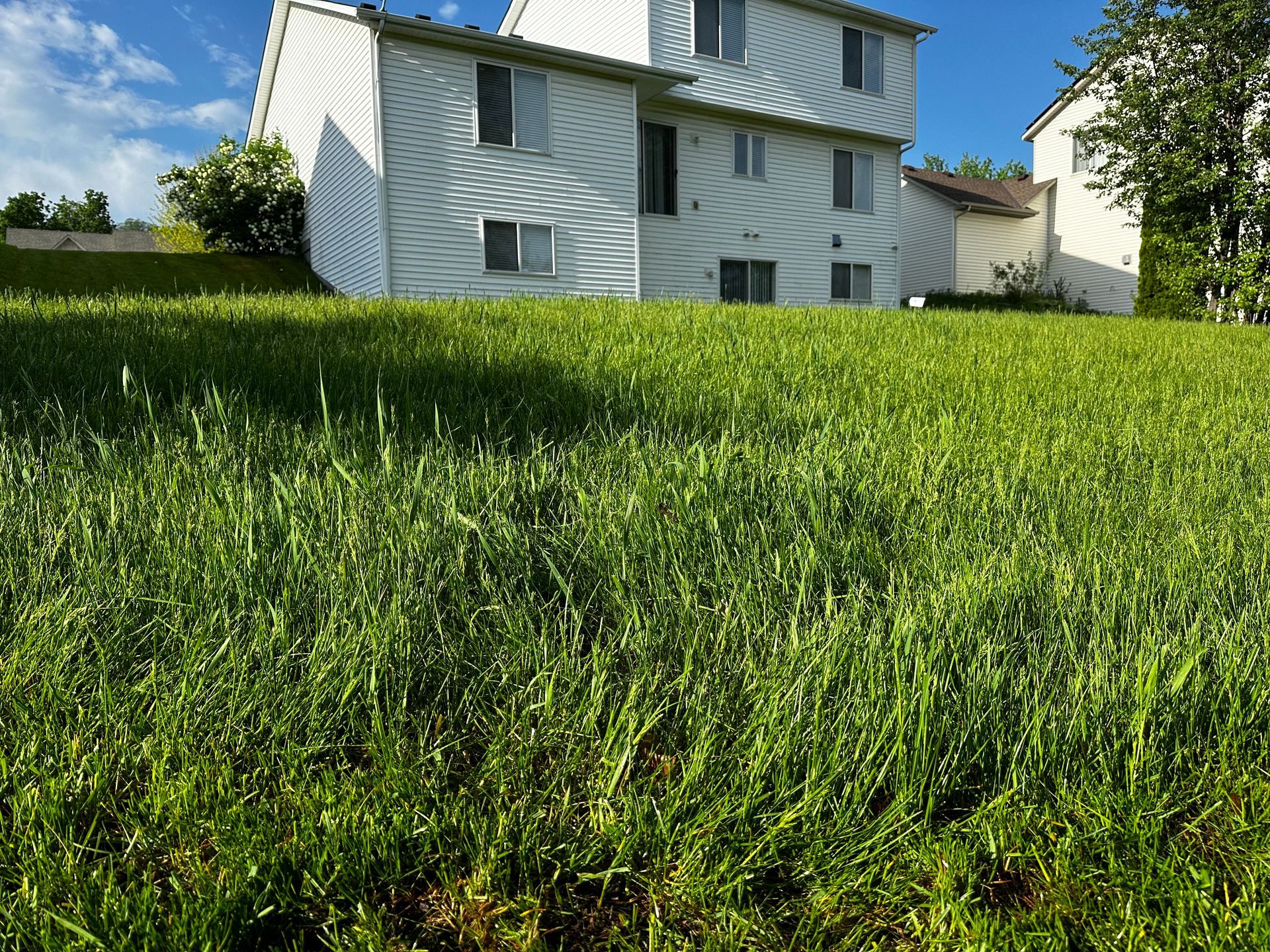 A white house sits on top of a lush green hillside