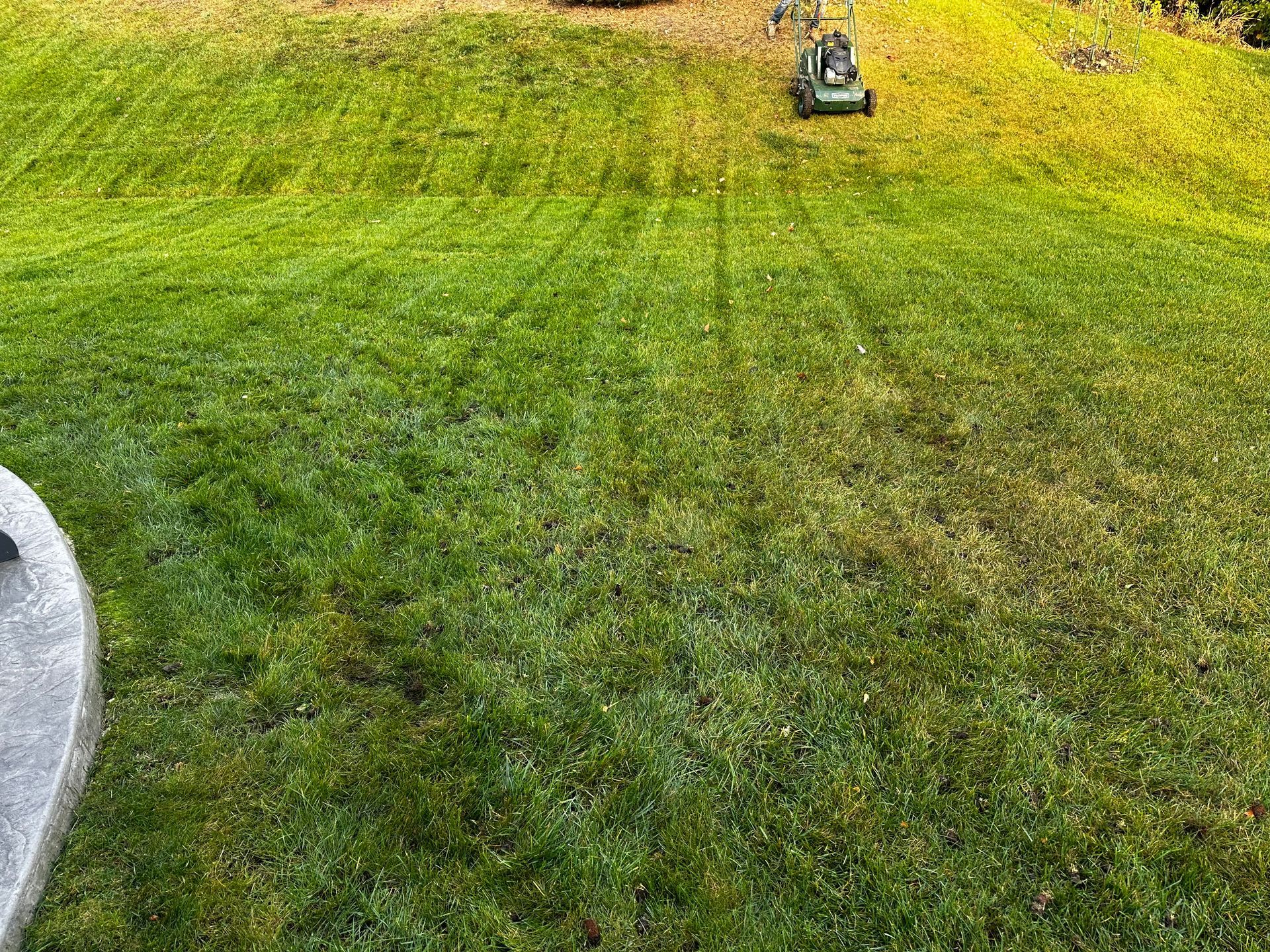 A person is mowing a lush green lawn with a lawn mower.