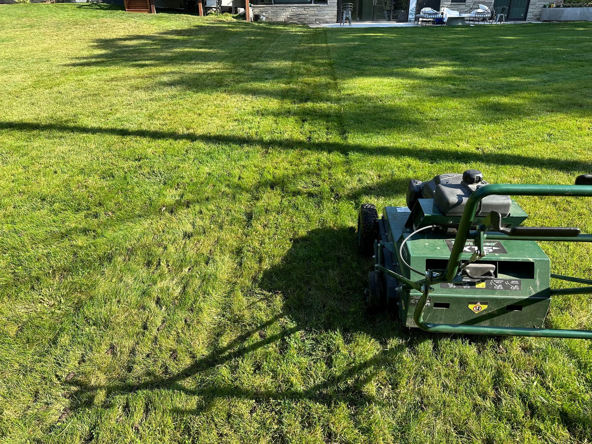A field of grass with a lot of dirt on it.
