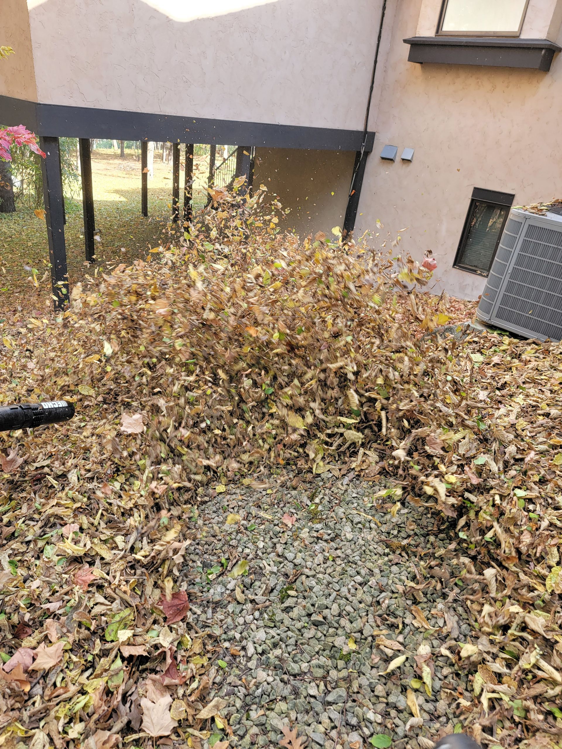 A bunch of leaves are laying on the ground in front of a building.