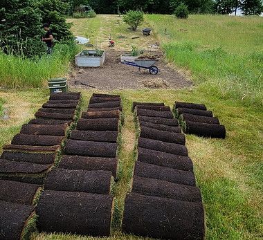 Sod Installation