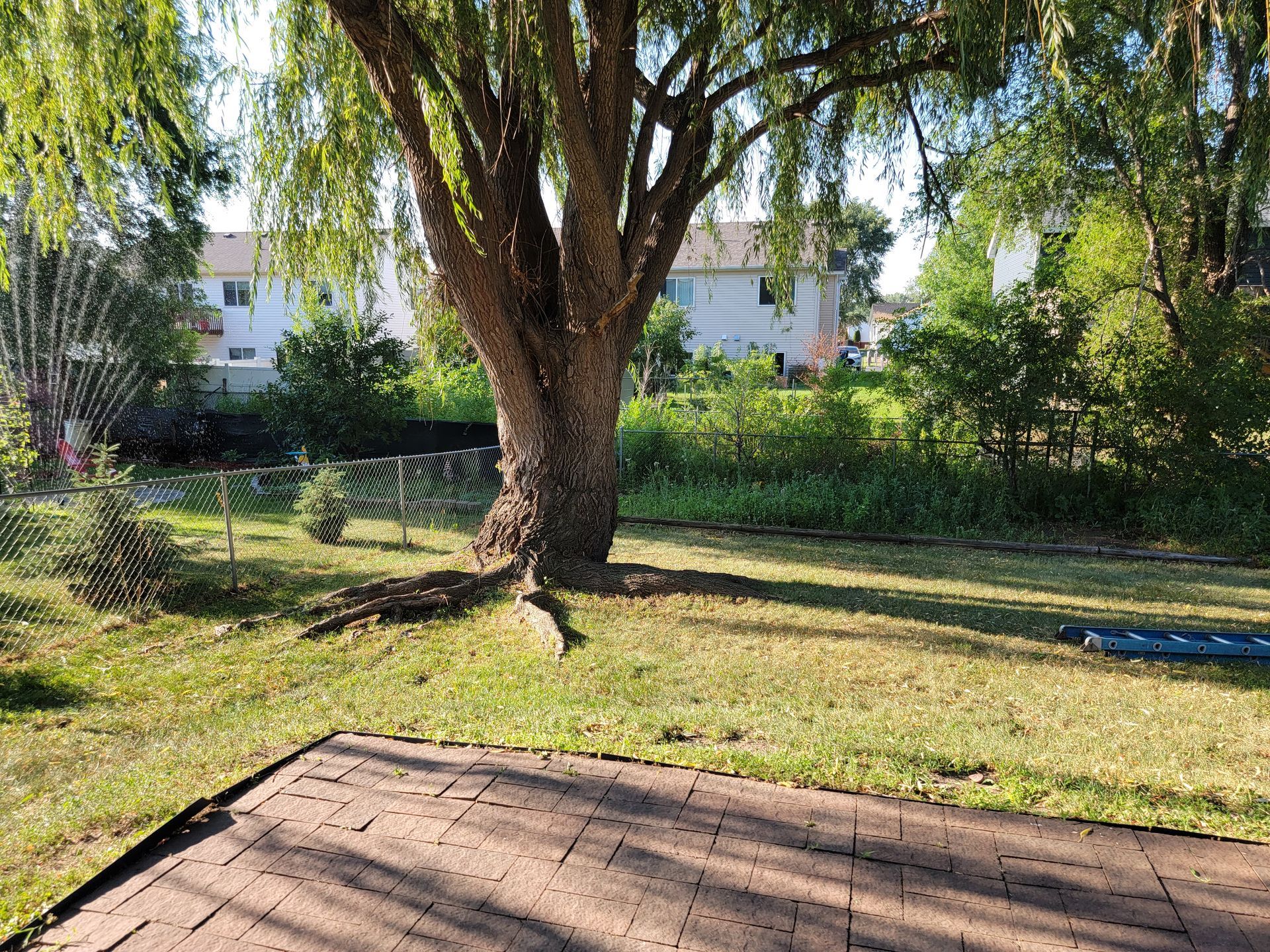 Residential House With Large Tree