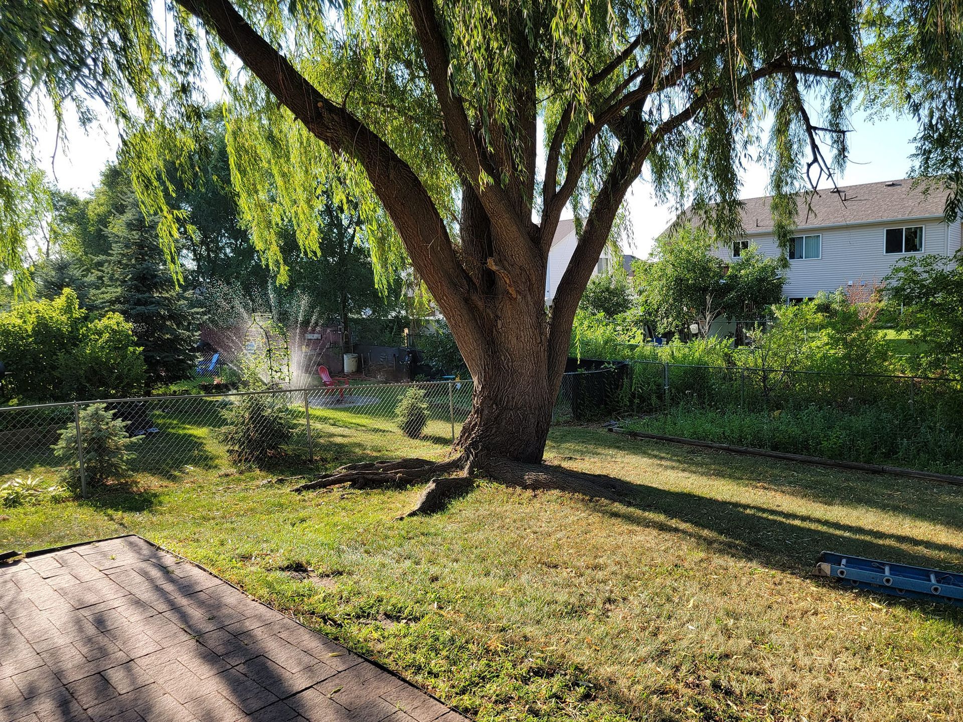 Residential House With Big Tree