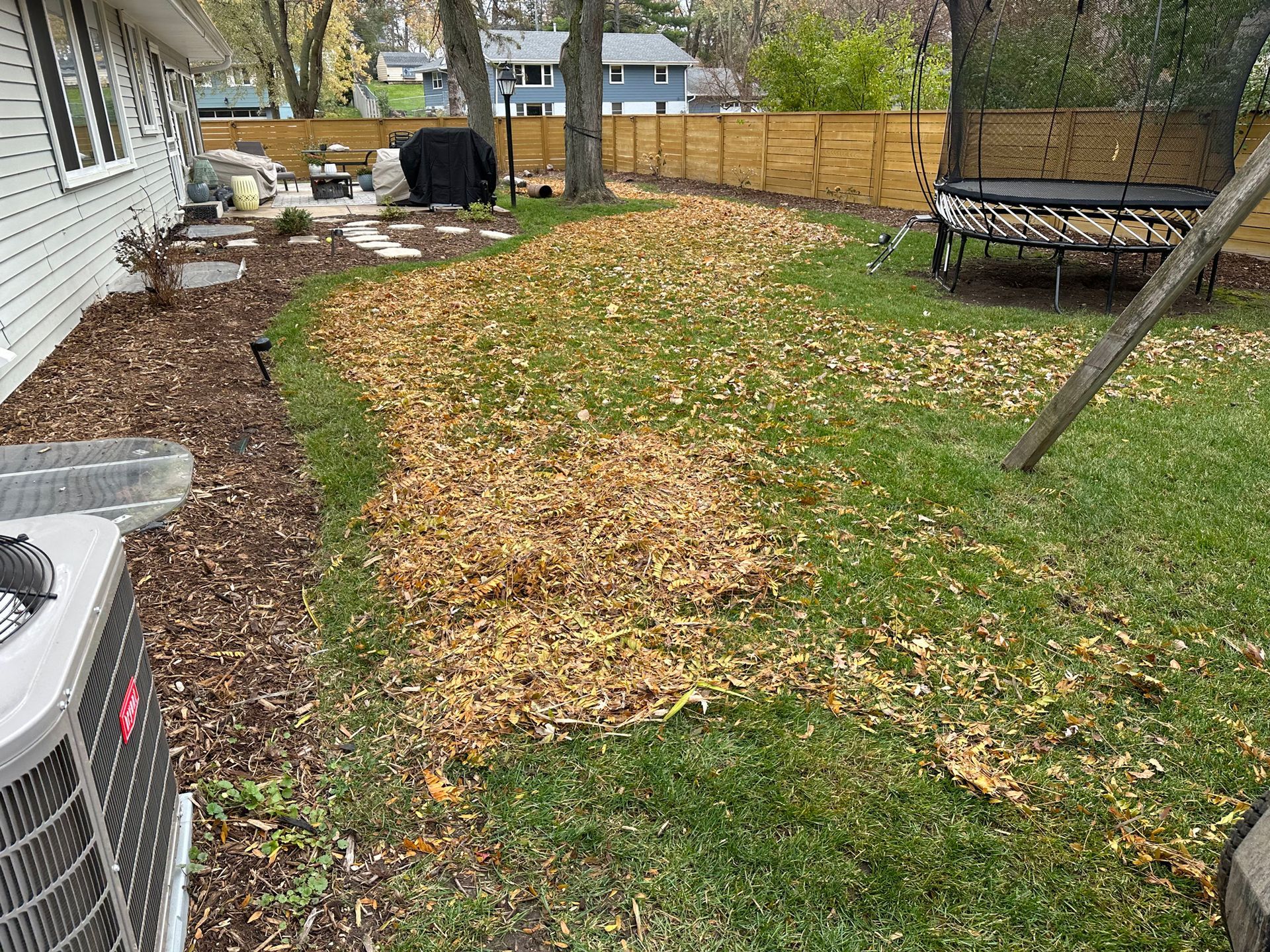 A backyard filled with lots of leaves and a trampoline.