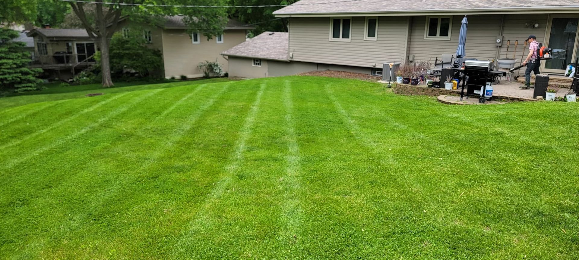 Landscape Lawn