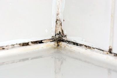 IMPERMEABILIZANTES ESPECIALIDAD Y RECUBRIMIENTOS