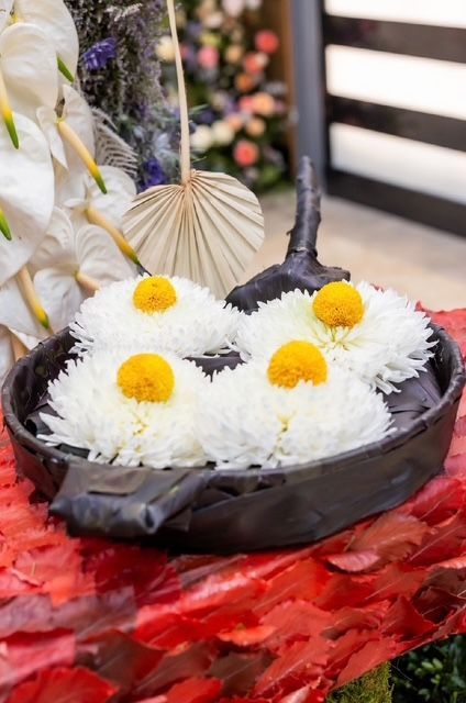 Four white flowers with bright yellow centers arranged in a dark frying pan sitting on a textured red surface.