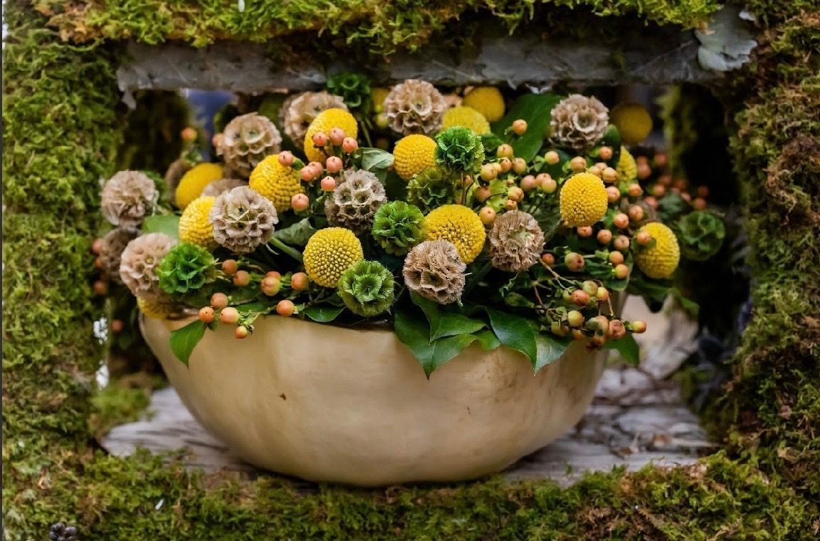 A bowl of bright yellow billy balls, green flowers, and small berries nestled in mossy, rustic surroundings.