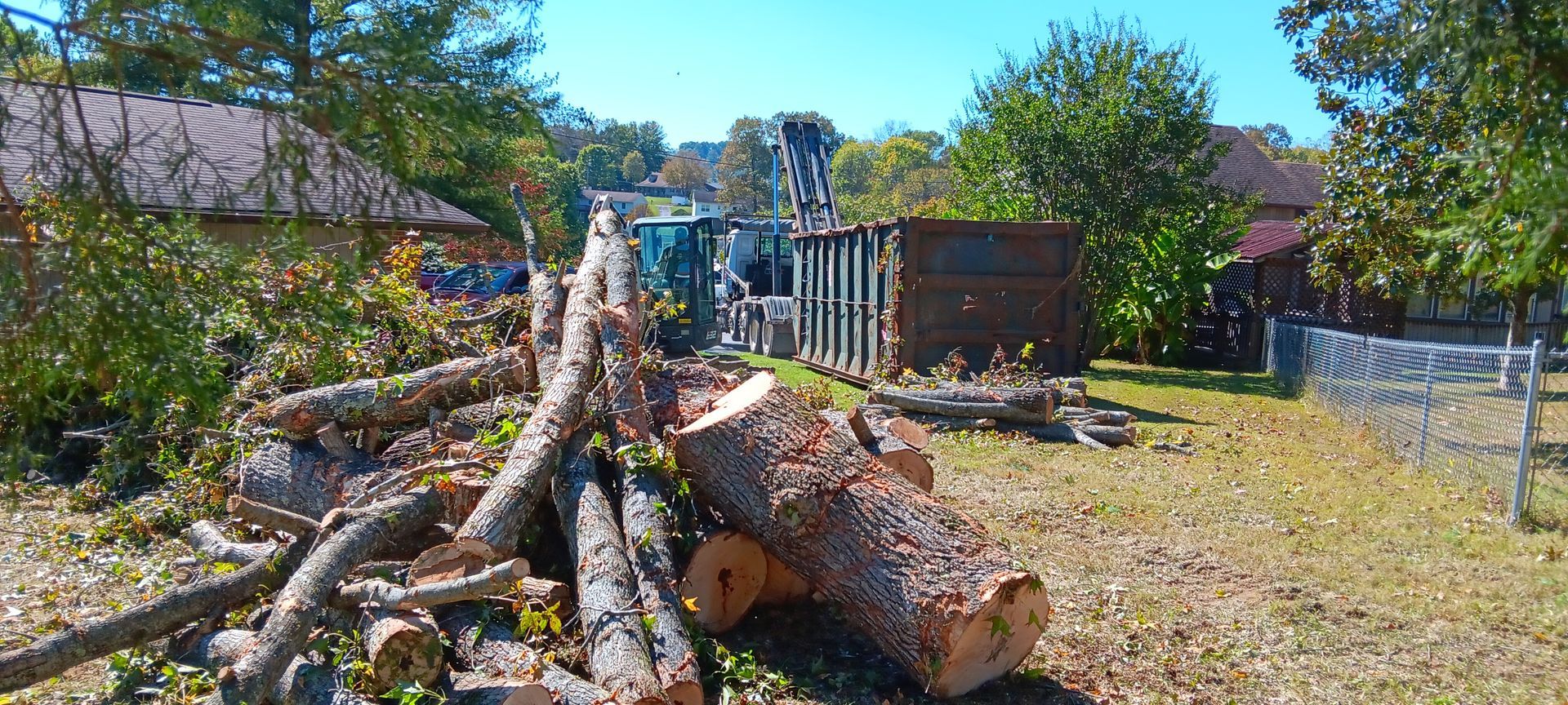 Piled logs and branches in a sunny backyard beside a fence and shed