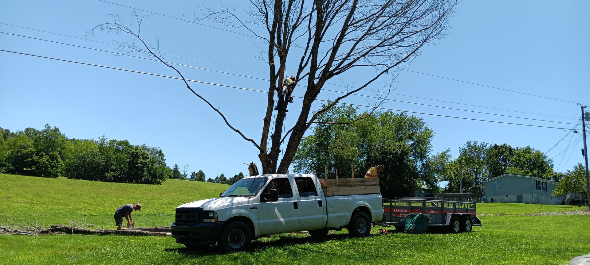 White pickup truck towing a trailer on a grassy field under trees and power lines