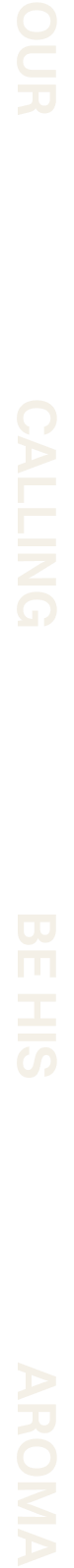 Vertical white menu with faint gray icons and labels along the left edge of a blank light background