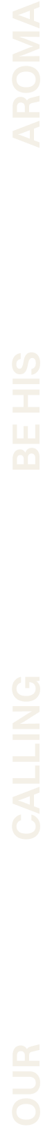 Vertical webpage with pale green sidebar text reading “CONTACT”, “STUDIES”, “CONNECT”, and “OUR LIVE” rotated sideways.