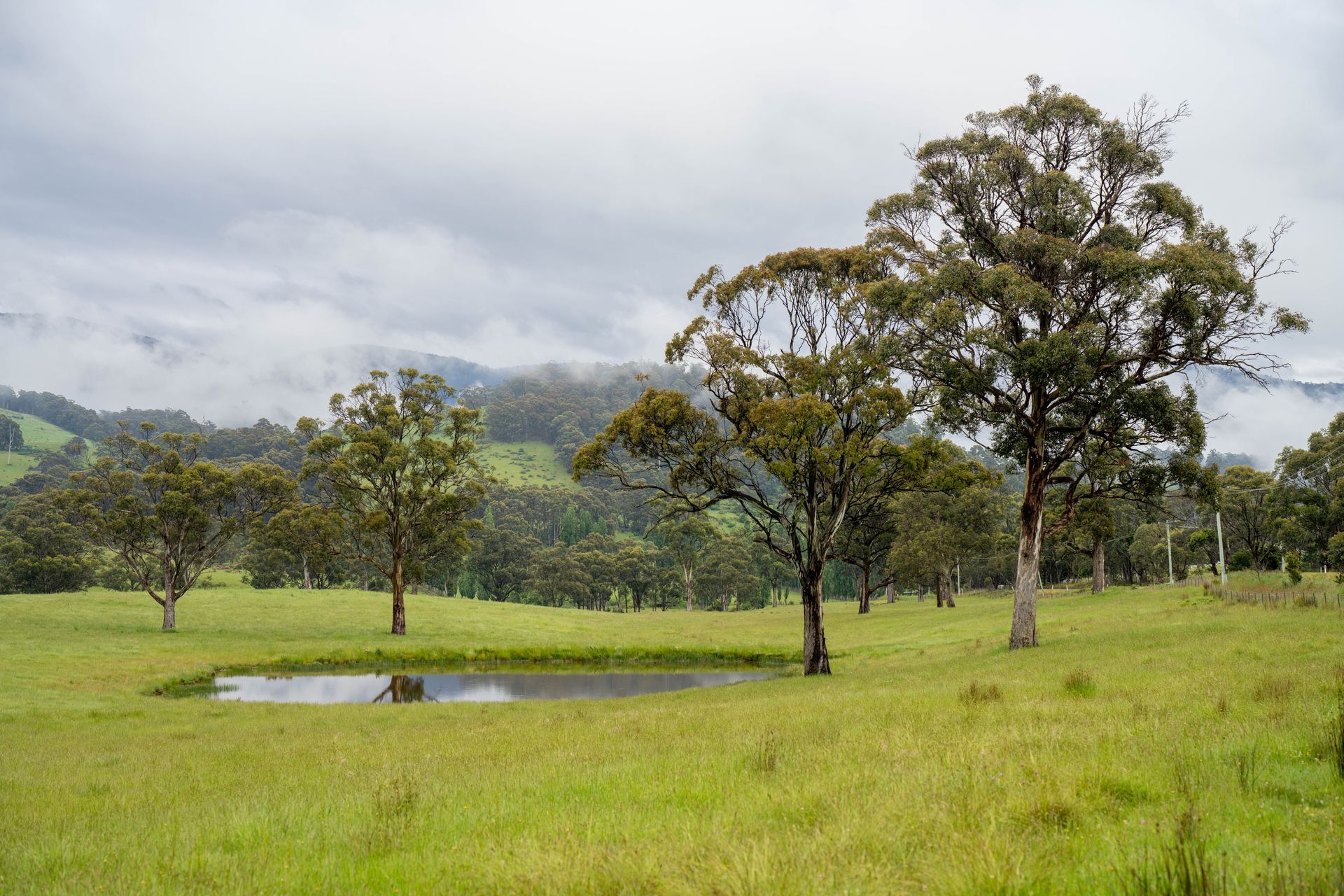 Small Pond in a Green, Grassy Pasture — BC Earthmoving and Tipper Hire in Sunshine Coast, QLD