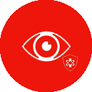 VISION PLANS