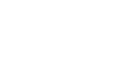 Aesthetics First Auto Detail