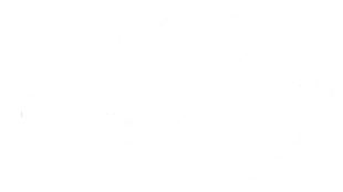 Aesthetics First Auto Detail