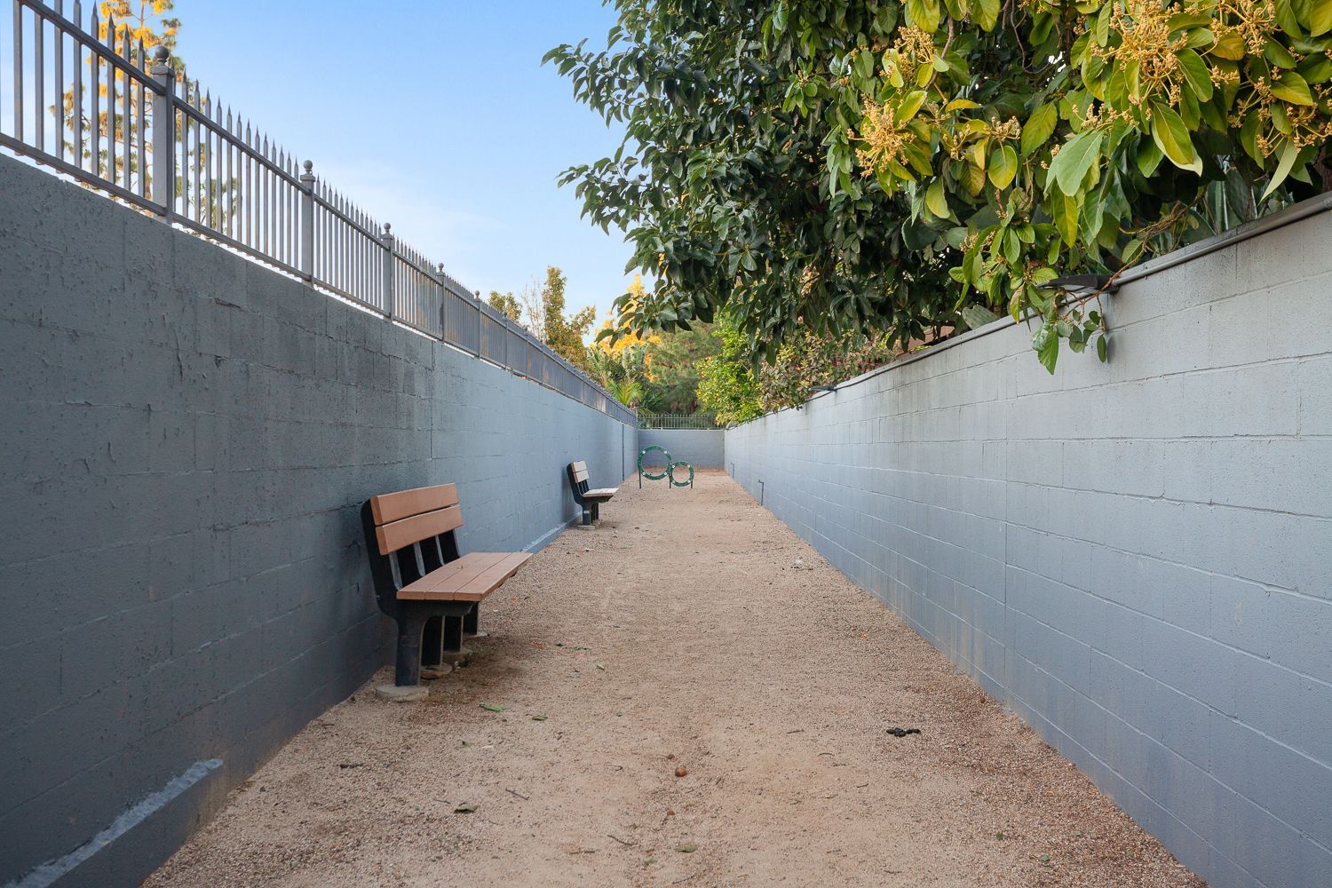 Park Plaza community dog park