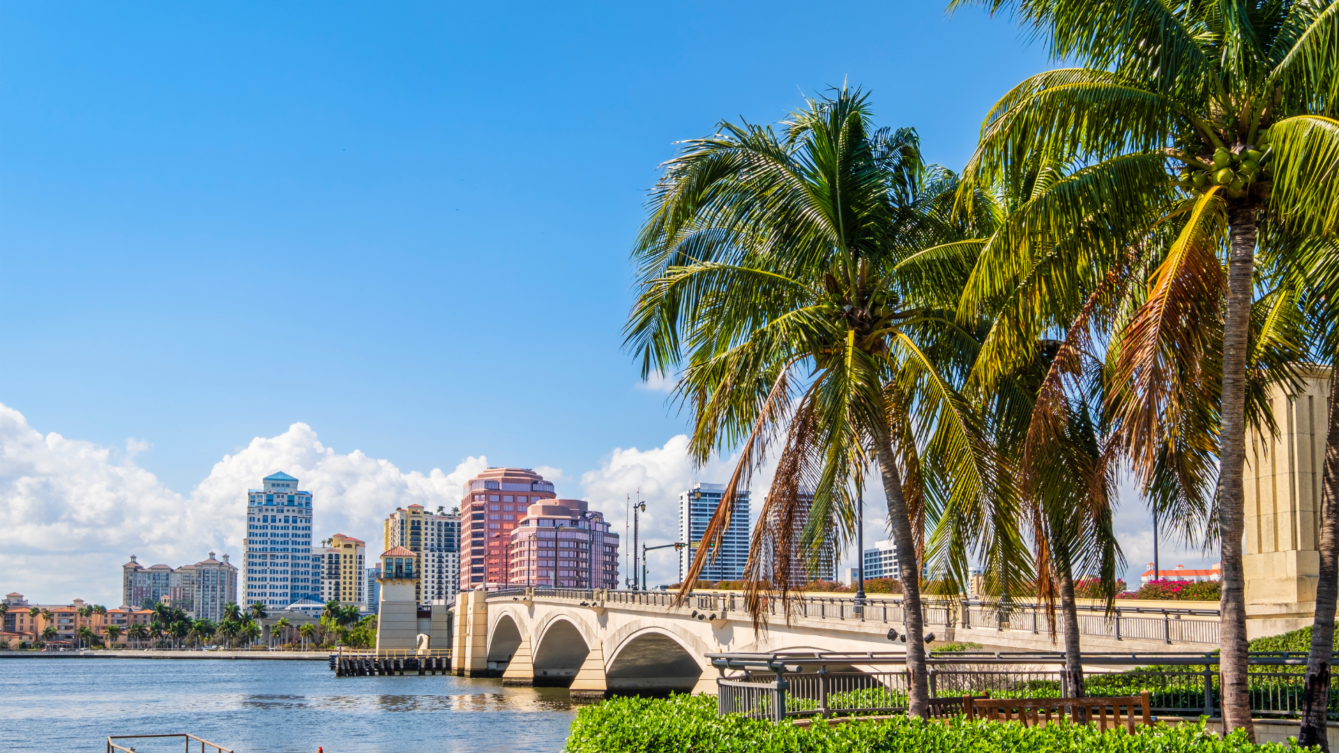 A bridge over a body of water with palm trees in the foreground and a city skyline in the background.