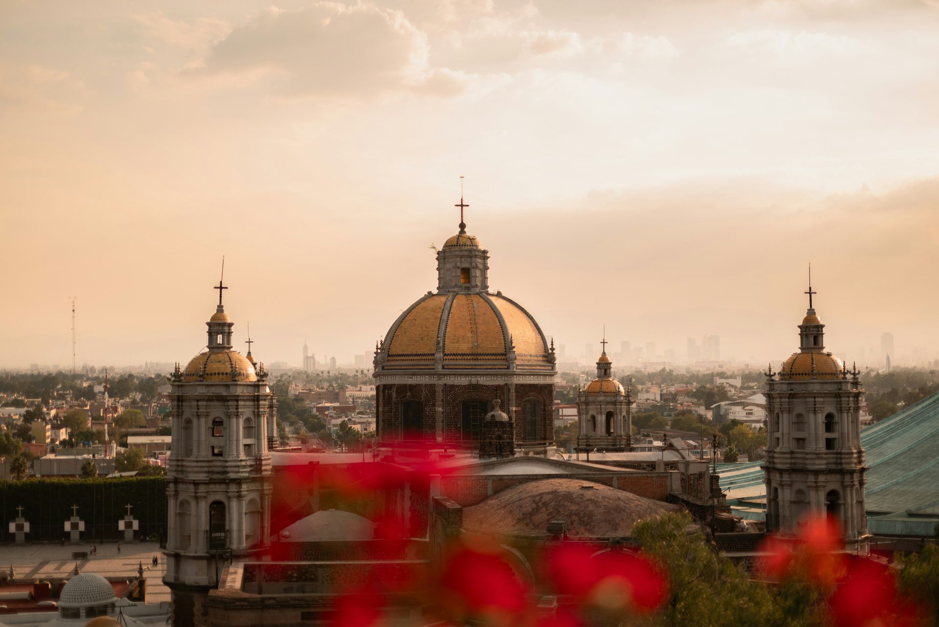 La cúpula de una catedral histórica al atardecer, enmarcada por flores rojas difuminadas en primer plano.