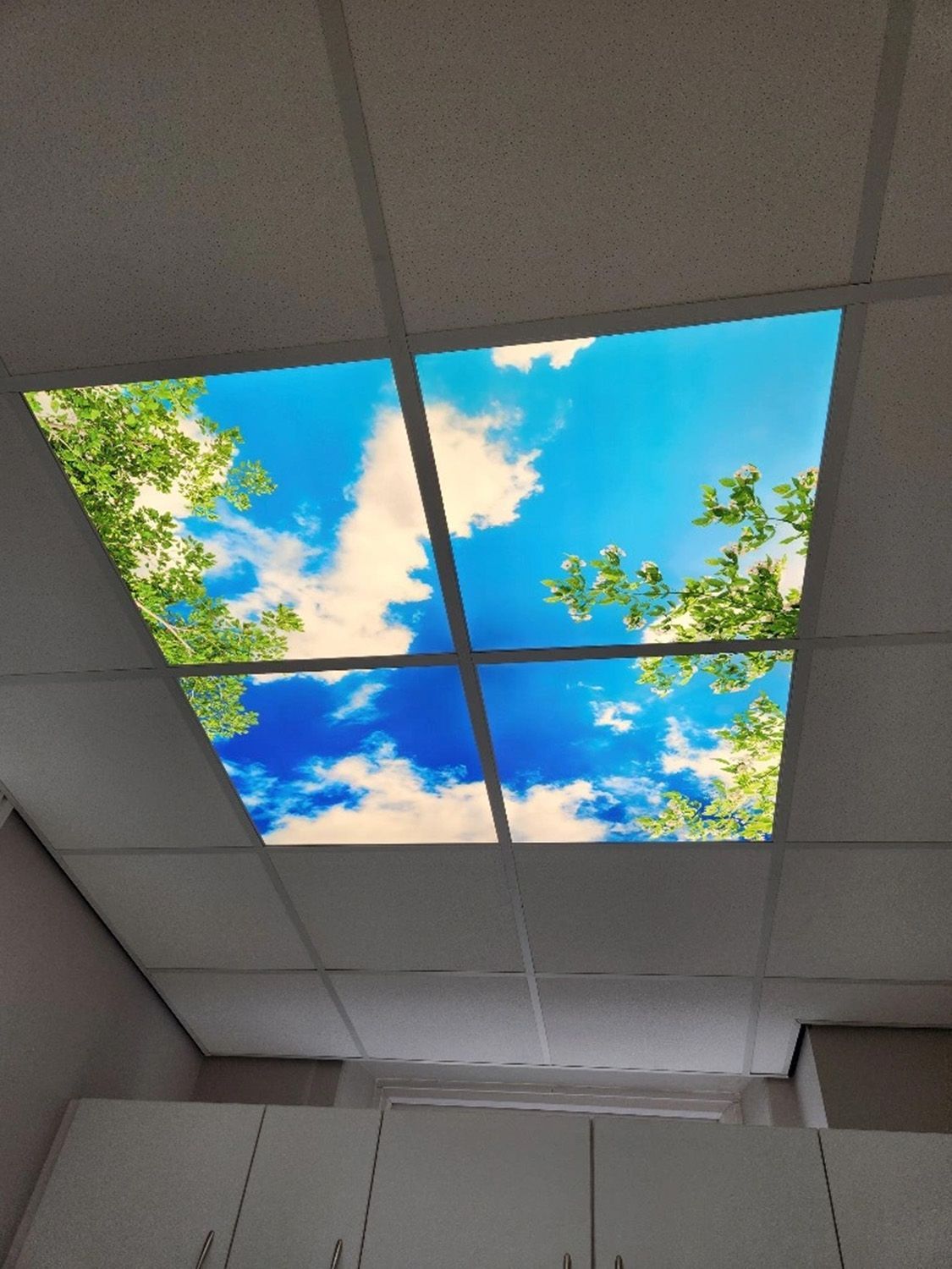 Customer installation of LED sky ceiling panels with a green canopy design in a dental treatment room.