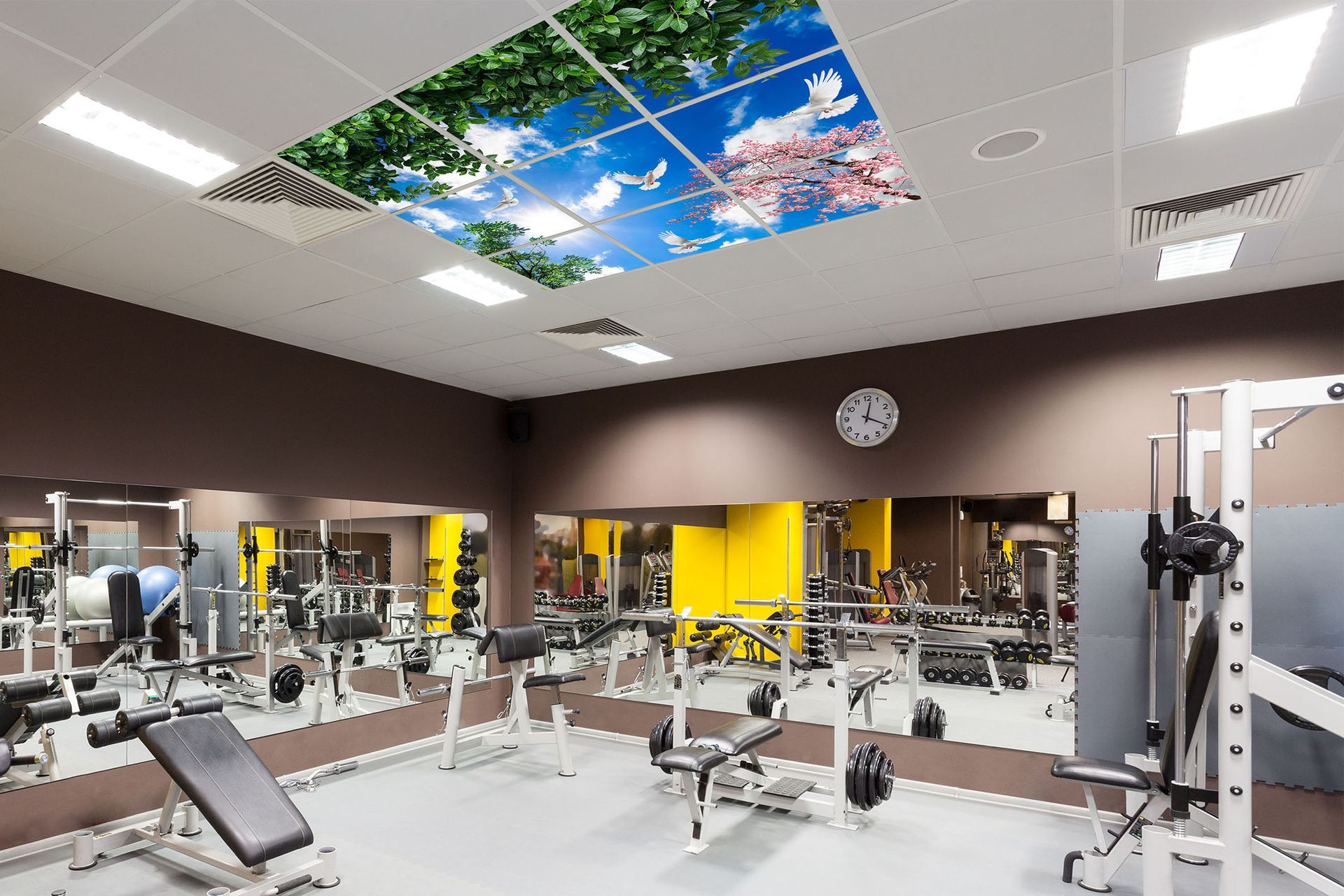 LED sky ceiling panels installed in a gym and fitness centre