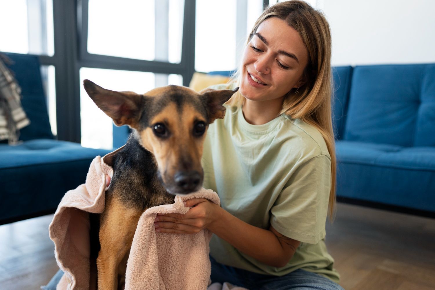 Woman drying a German shepherd with a towel in a living room
