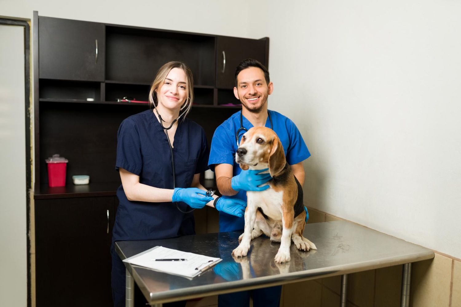 Two veterinarians with a dog on an exam table in a clinic room