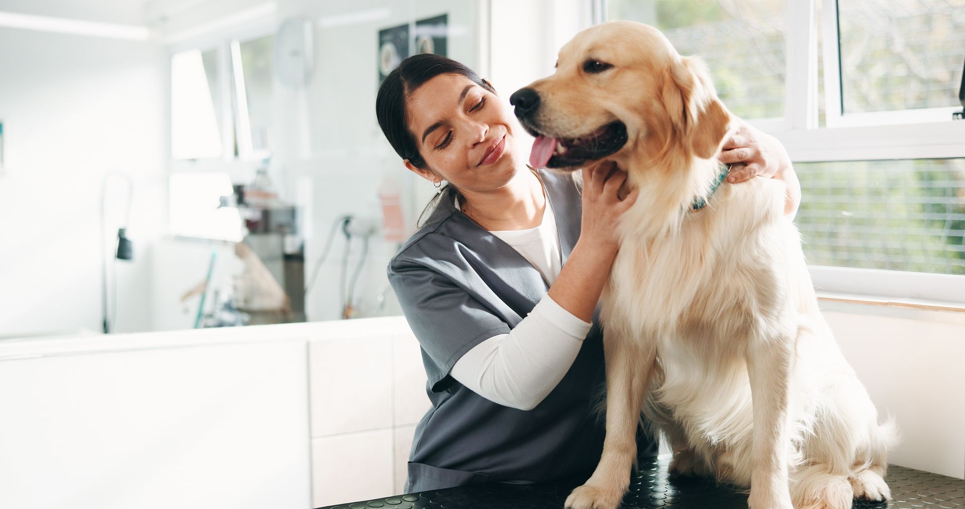 Veterinary worker smiling and petting a golden retriever in a bright clinic