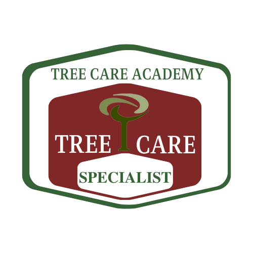 Logo for Tree Care Academy: green outline, burgundy hexagon with tree graphic, white text