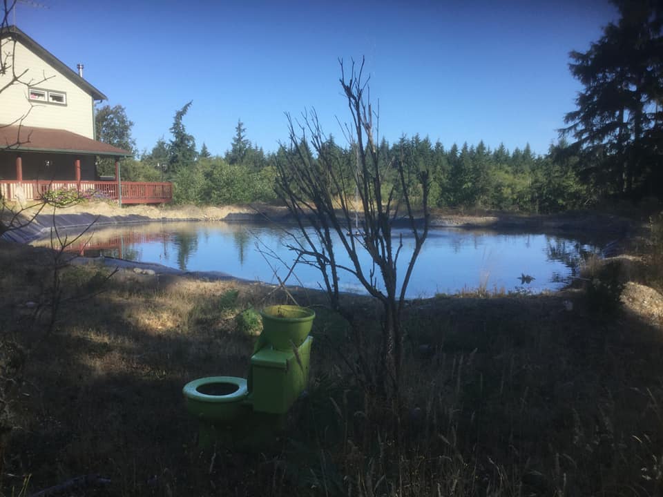 A large pond in a wooded area with a green composting toilet in the foreground and a house in the background.