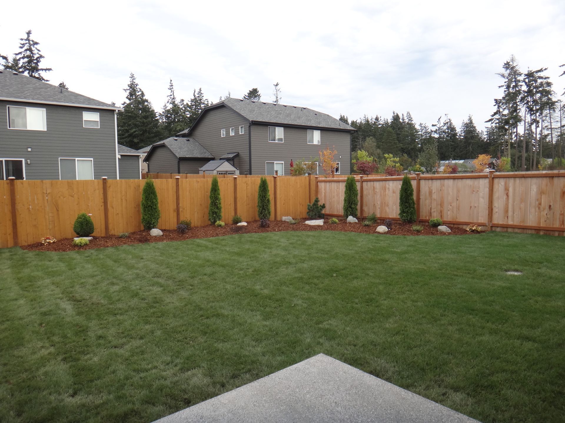A backyard with a wooden fence, lawn, and planted trees. Houses are visible in the background.