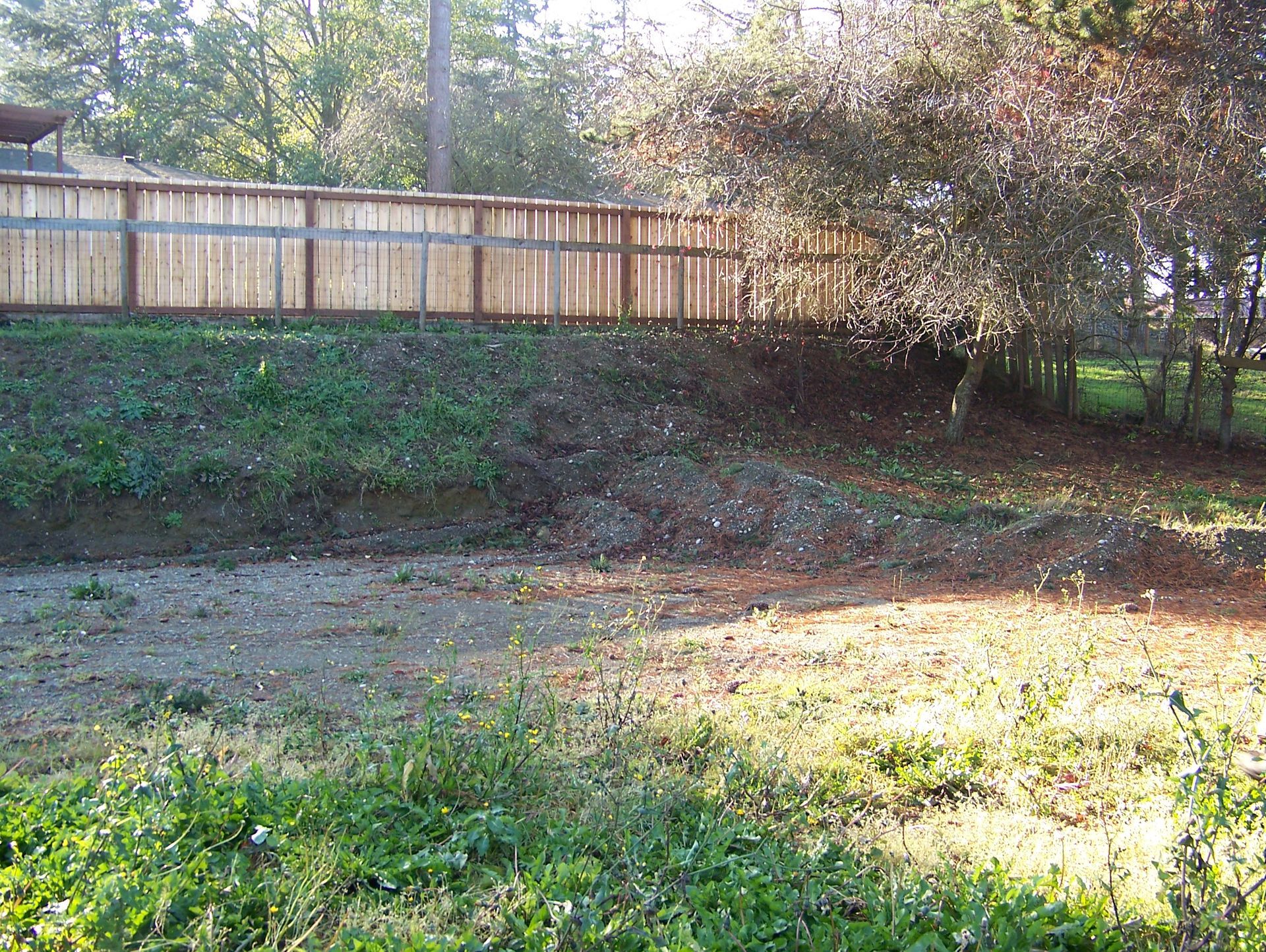 A wooden fence sits atop a grassy embankment, trees on the right, and sunlight.