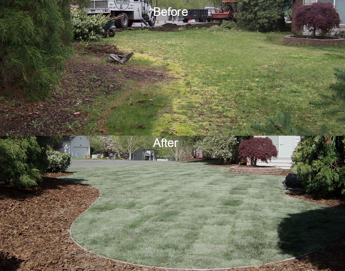 Side-by-side yard comparison: before with dead leaves and uneven grass, after with neat green lawn and mulch border.