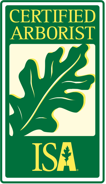 Green and yellow