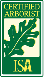 Green and yellow