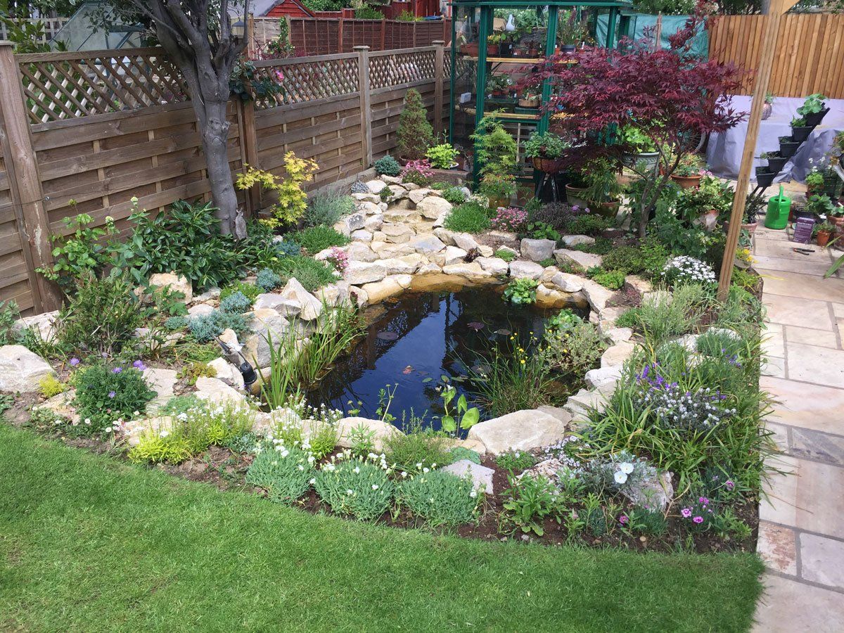 A lush garden with a pond, surrounded by rocks and various plants and flowers, with a wooden fence.