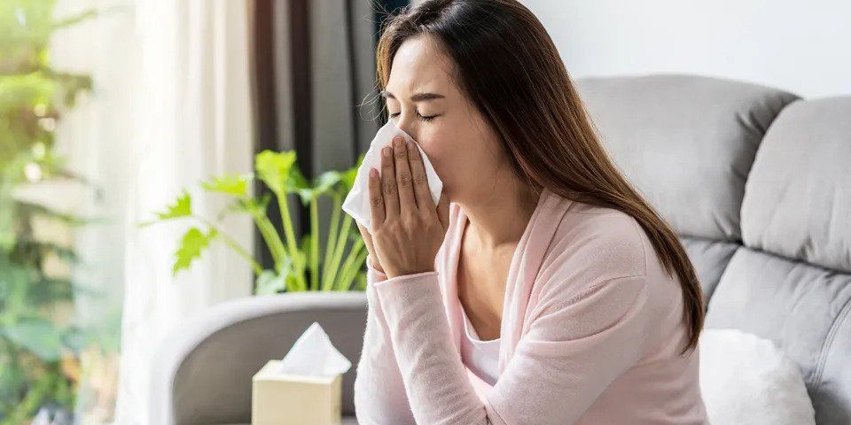 Woman Sneeze with Tissue Paper — Nicholasville, KY — Stewart Air Conditioning & Heating Woman Sneeze with Tissue Paper — Nicholasville, KY — Stewart Air Conditioning & Heating
