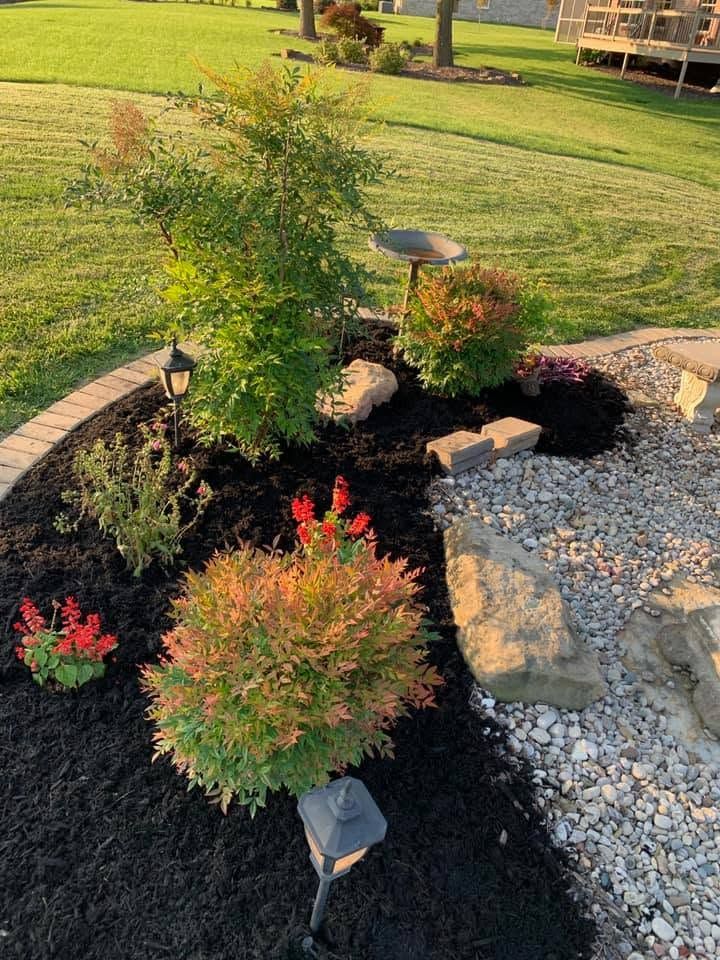 Landscaped garden bed with shrubs, rocks, and solar lights beside a lawn