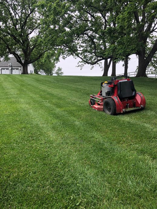 Red lawn mower on a green hill under large trees in a park-like yard