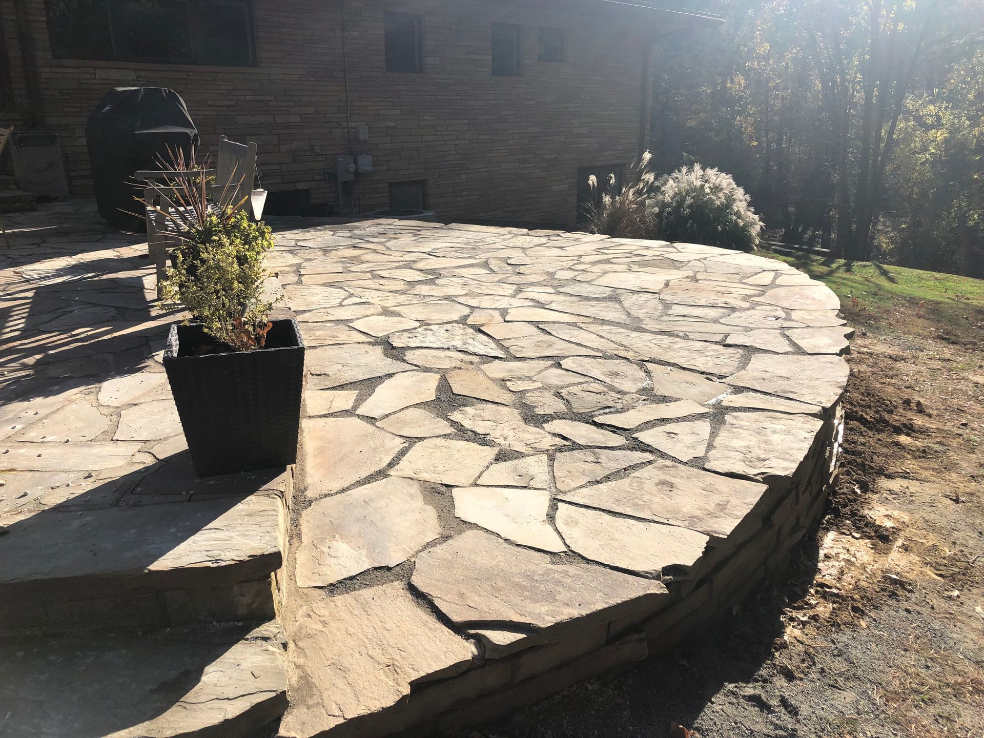 Stone patio with a potted plant on the steps in bright sunlight