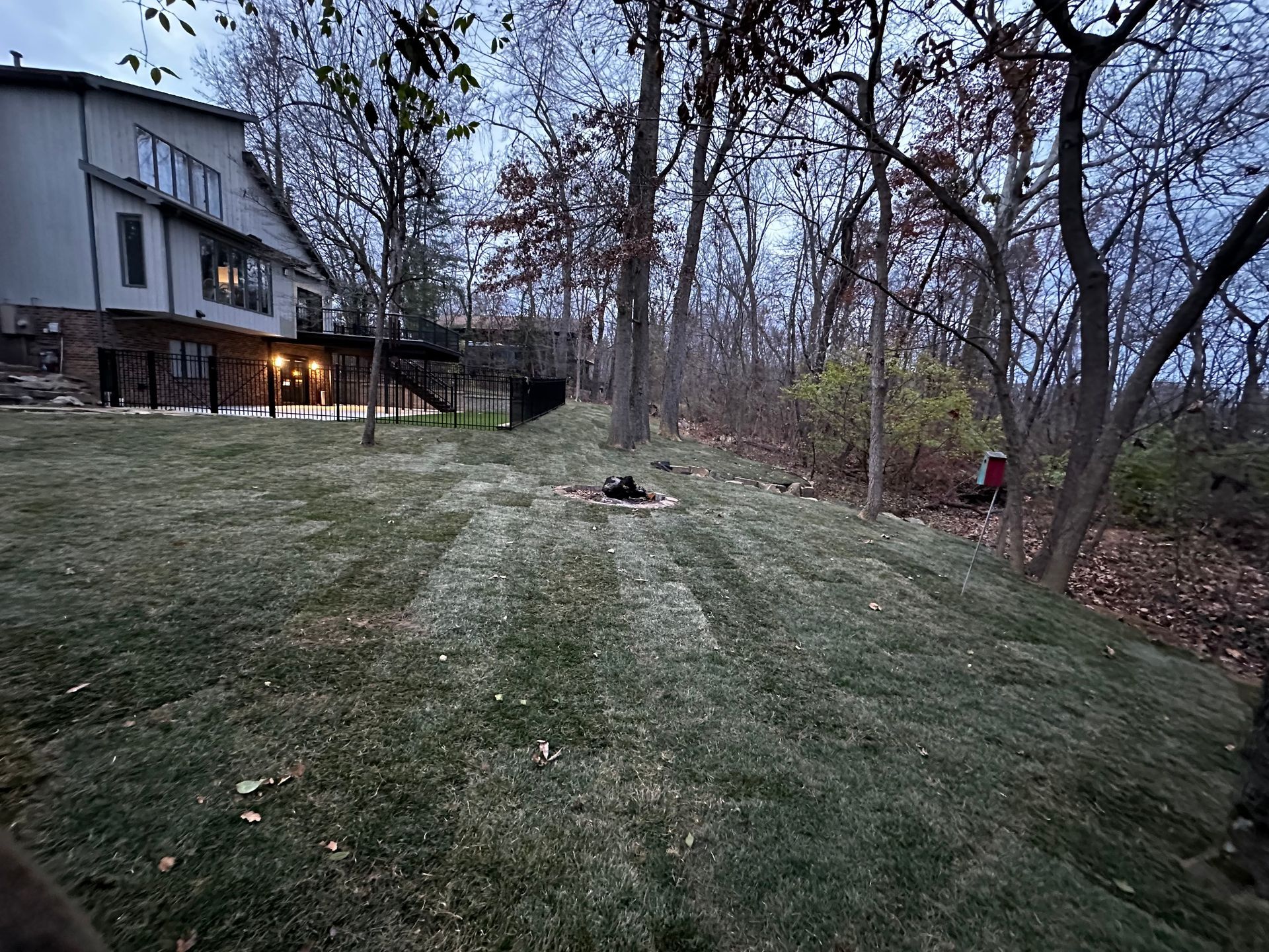 Grassy backyard beside a house at dusk, with leafless trees and a wooded edge in the background