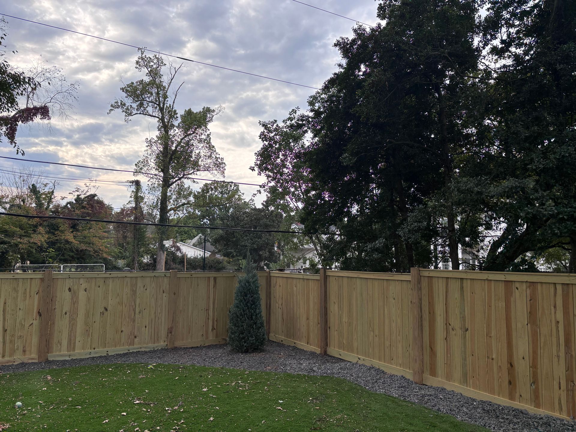 Backyard with wooden fence, green lawn, gravel border, and tall trees under a cloudy sky