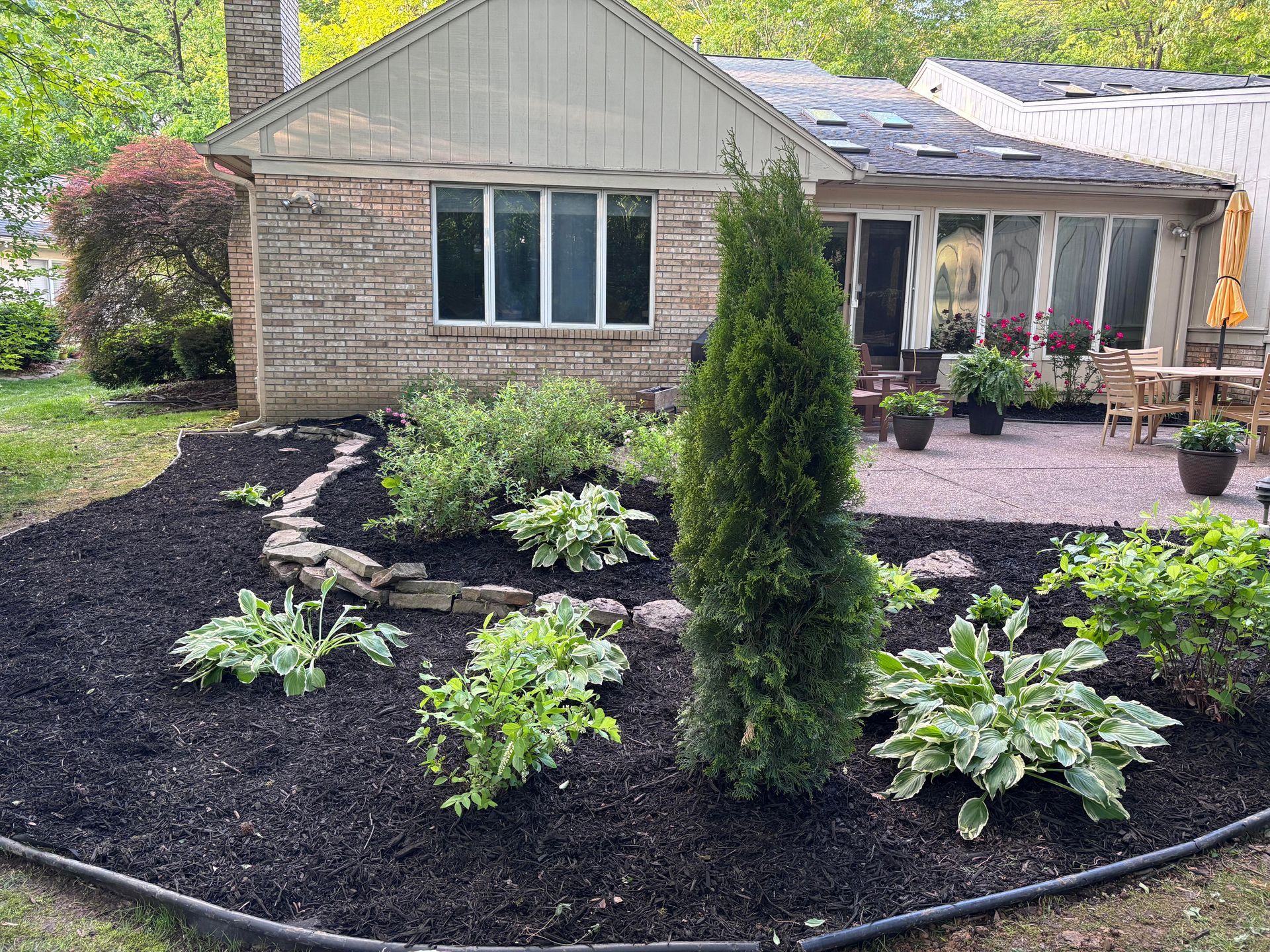 Front yard garden with dark mulch, hostas, shrubs, and a small house in the background
