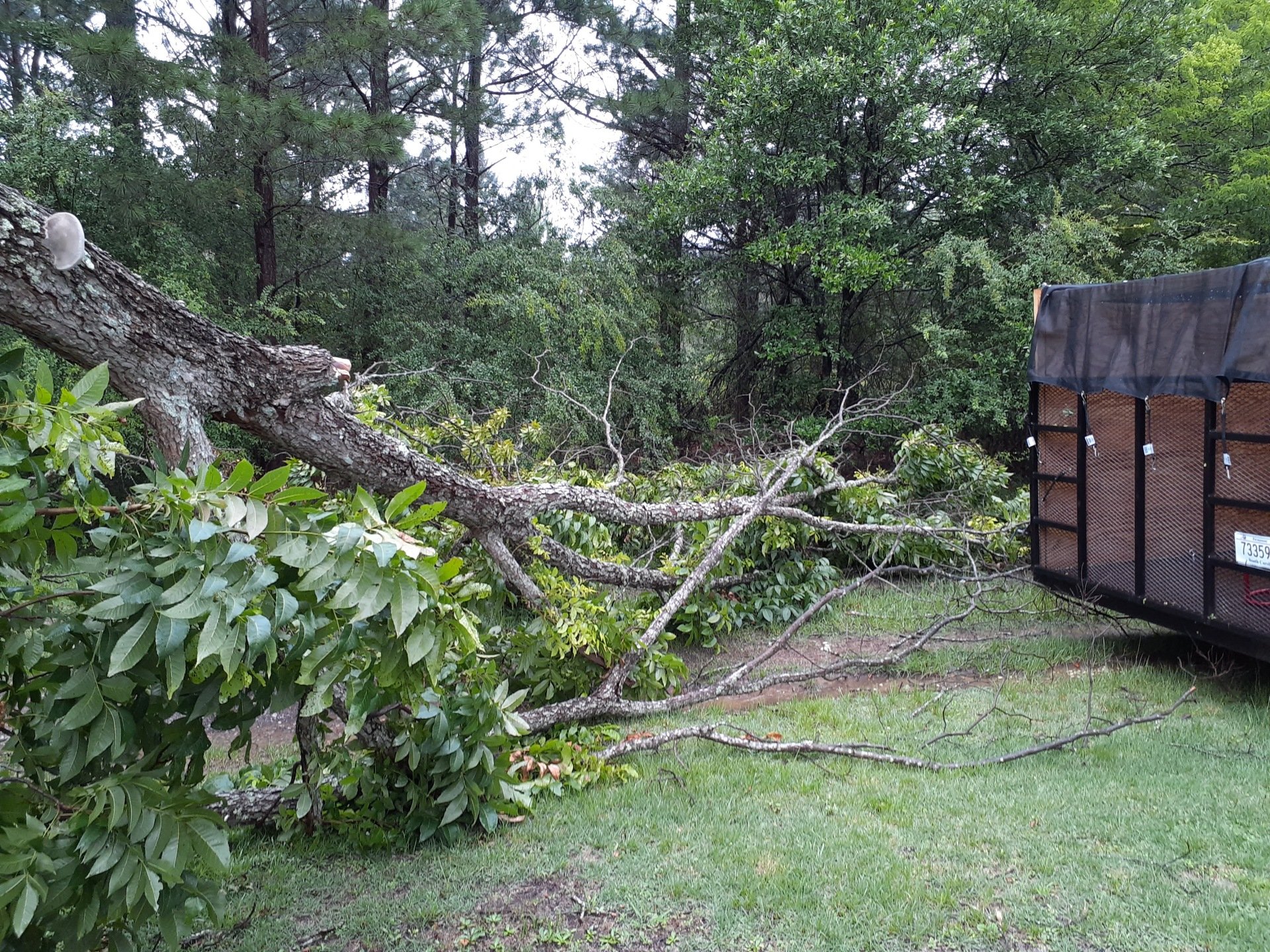 Our Junk Removal Service Selection We Serve Northern Augusta!