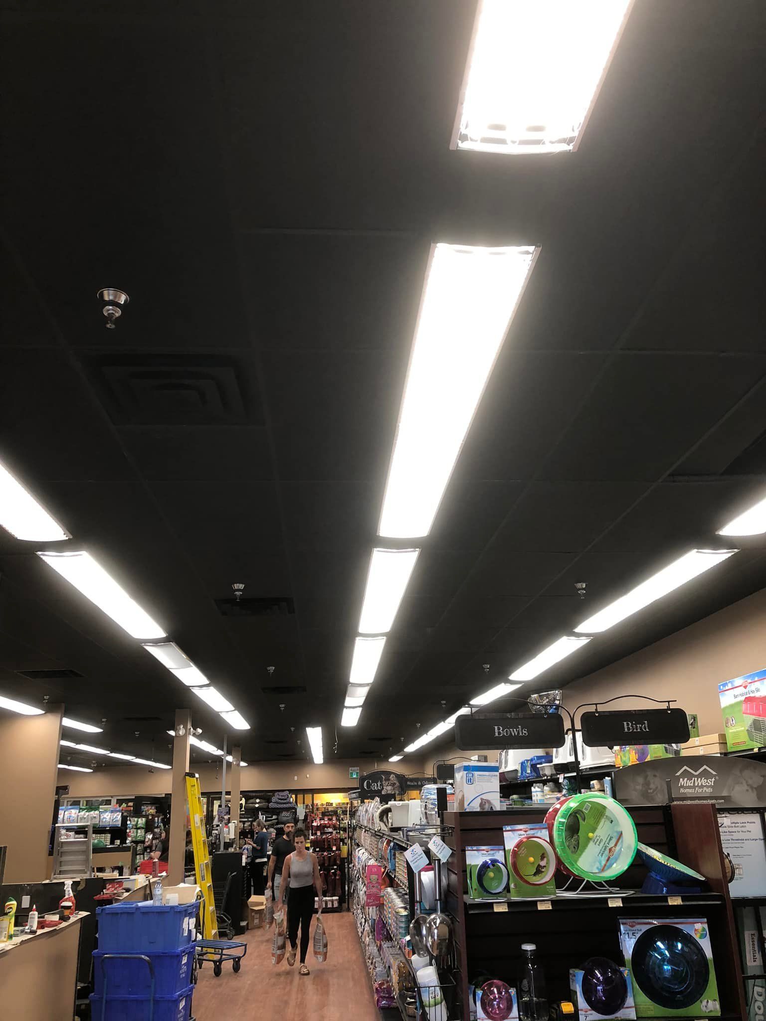 The inside of a store with a lot of lights on the ceiling.