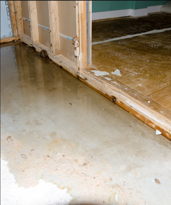 A room with a flooded floor and a wooden door